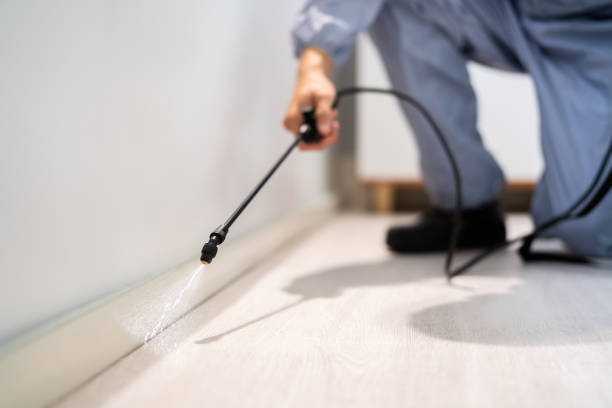 Licensed Pest Control service in Owosso, MI - Show Me Pest Control