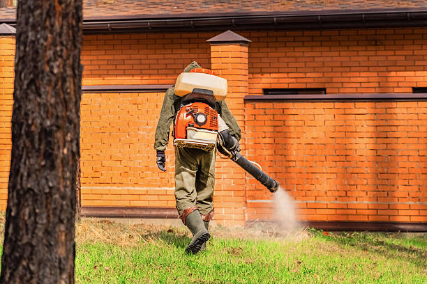 Bed Bug Clearance Verification and Documentation in Owosso